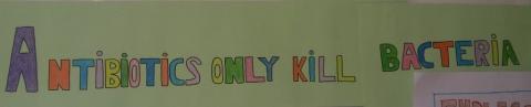 antibioticawareness_07.jpg